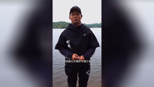 天元邓刚,40,初冬探钓-金色的大鲤鱼。_高清1080P在线观看平台_腾讯视频