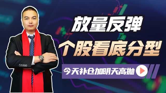 A股放量反攻17点!软件开发龙头涨停2只甘肃酒涨停,散户怎么办