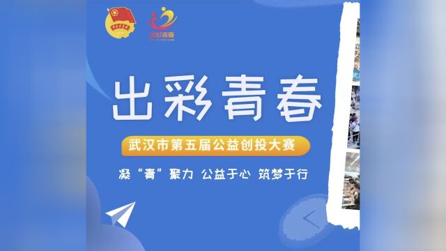 青春力量缔造美好新生活 2022年武汉市“出彩青春”公益创投大赛十佳项目评出