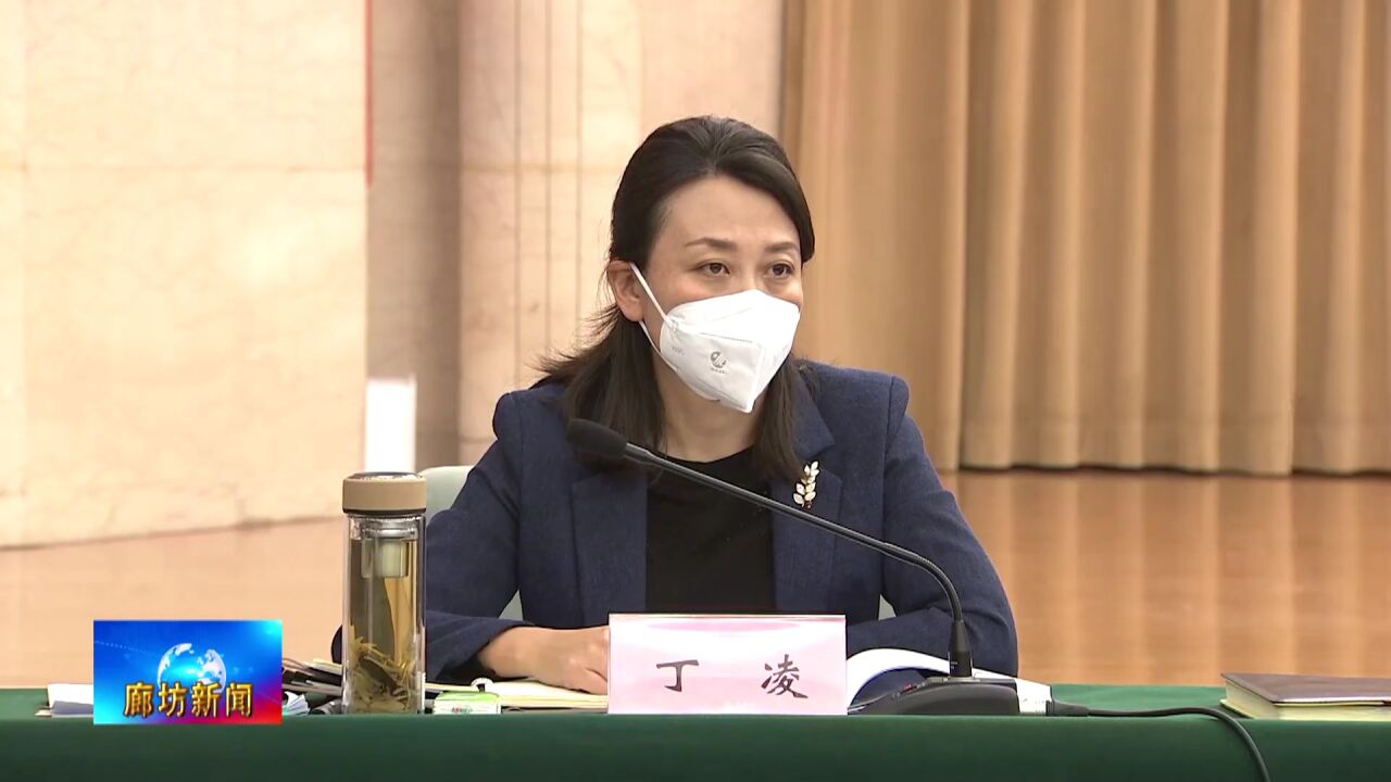 廊坊广电·头条丨王立彤主持召开廊坊临空经济区规划建设领导小组第