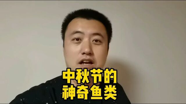 看看活体豆腐鱼吧