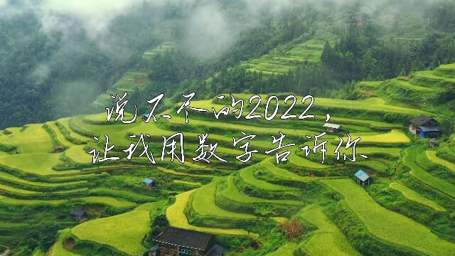 【青椒计划】说不尽的2022,让我用数字告诉你