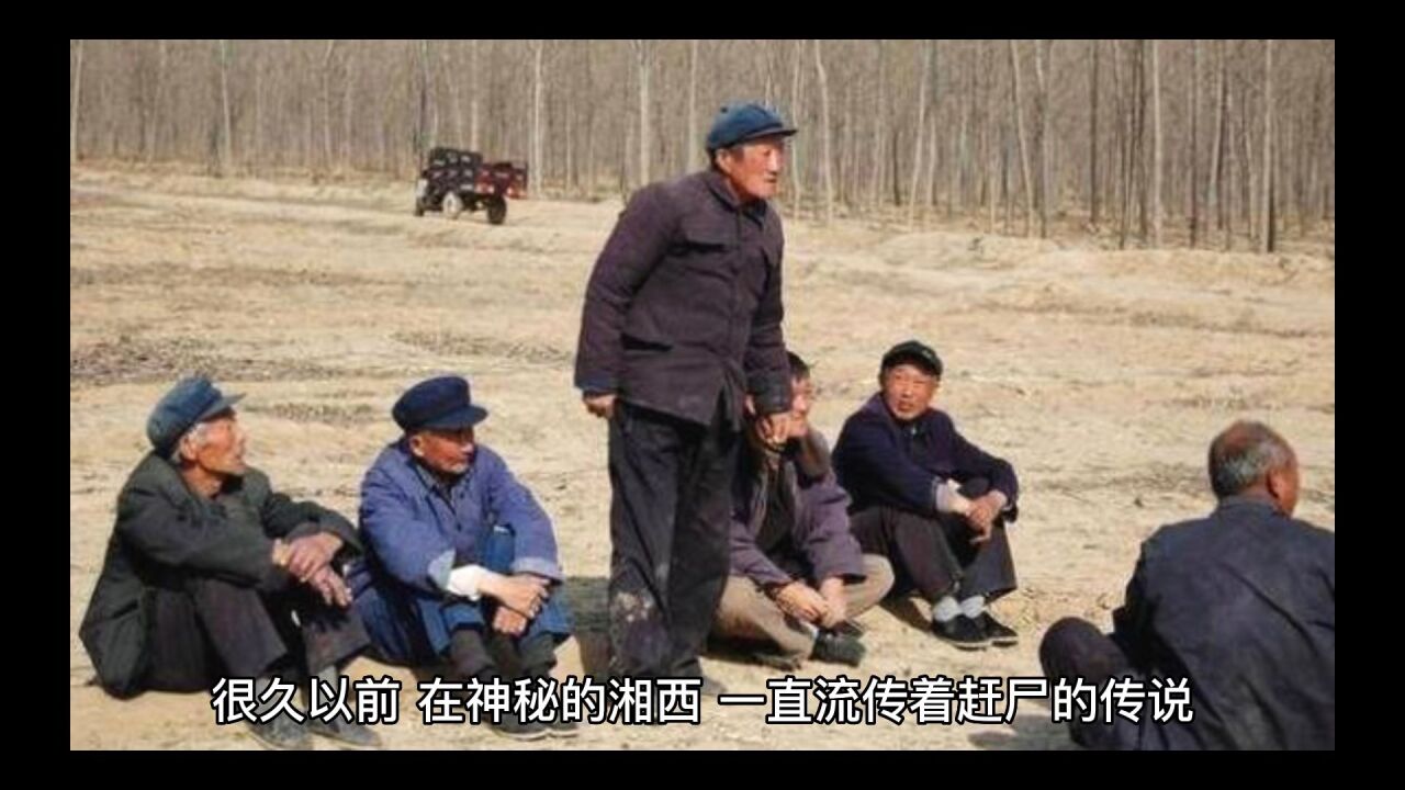 赶尸惊魂_高清108