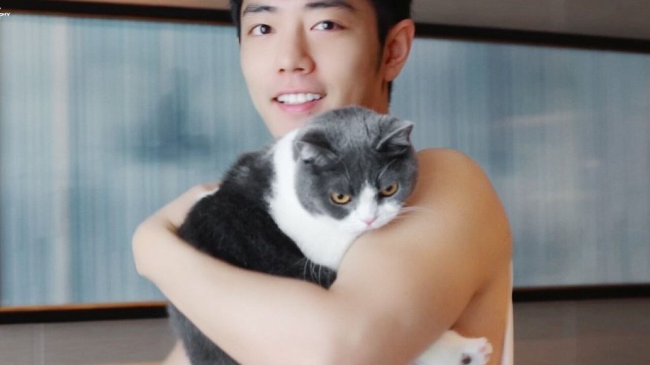 肖战漫游重庆跨年vlog:和坚果互动,自拍,骑电动车,过生日