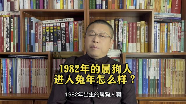 十二生肖兔年运势详解:1982年出生的属狗人兔年运势好不好?