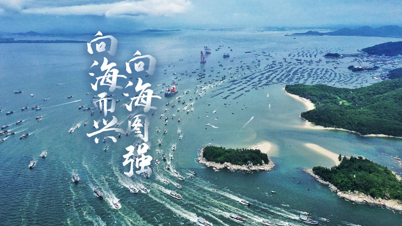 向海而兴,向海图强!广东吹响经略海洋进军号