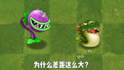 蓝卡：大嘴花与紫卡：龙吼草，为啥差距这么大？