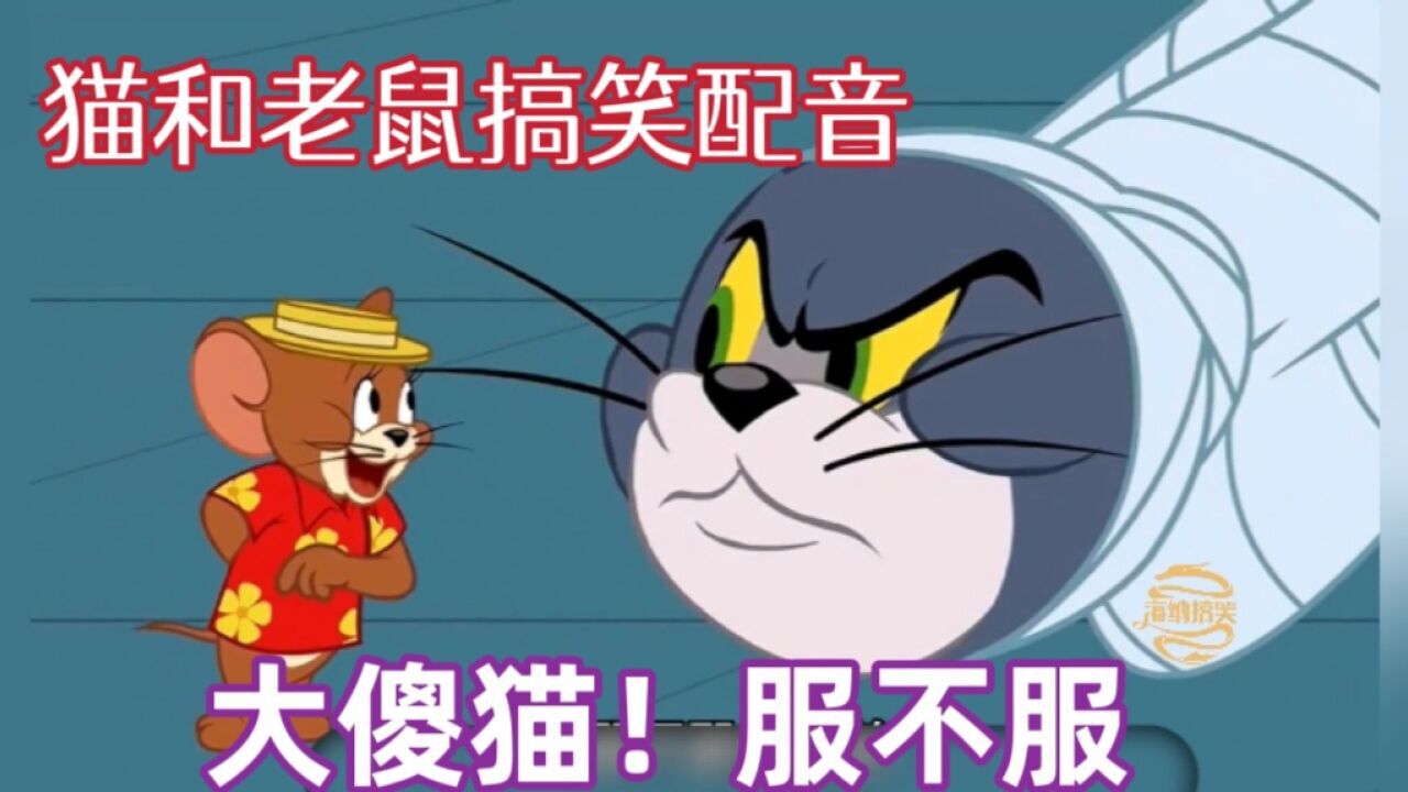 猫和老鼠搞笑配音:大表哥做客梁志超家,竟戏耍了老韩小伟,绝了