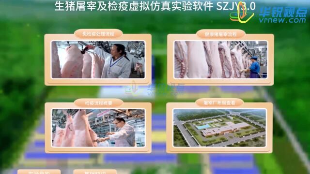 VR教育课件之猪屠宰虚拟仿真实验系统