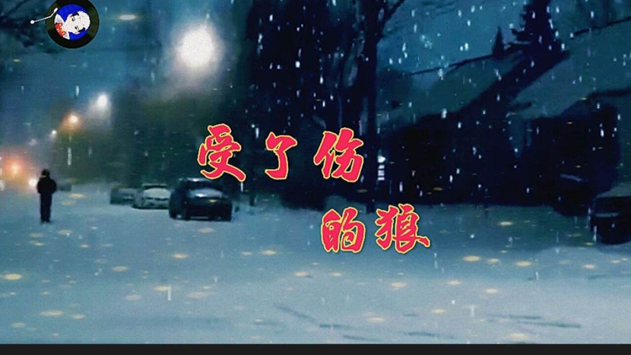 《受了伤的狼》带着满身的疲惫流浪,灵性的歌声,让人越听越爱听