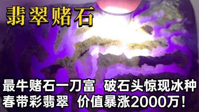 最牛赌石一刀富,破石头切出冰种春带彩翡翠,价值暴涨了2000万!