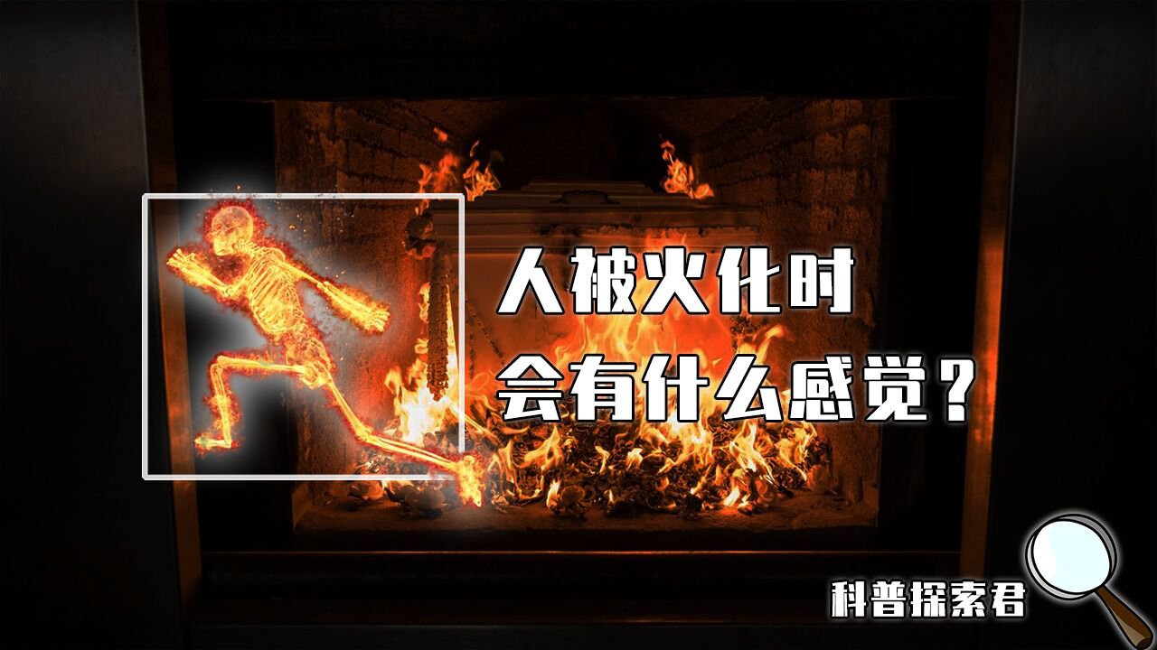 被火化到底是种什么体验?遗体在火化炉里,会发生怎样的变化?_高清1080P在线观看平台_腾讯视频
