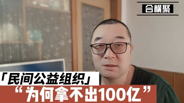 民间公益组织为何拿不出100亿