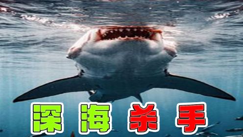 第01集 深海杀手—大白鲨