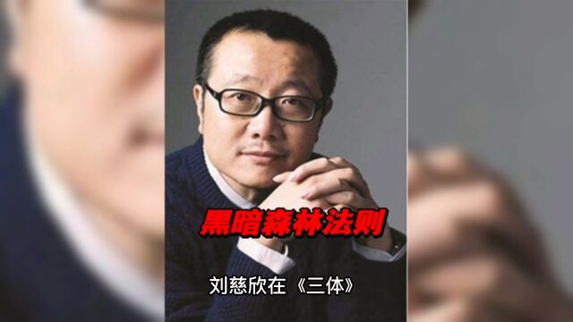 黑暗森林法则