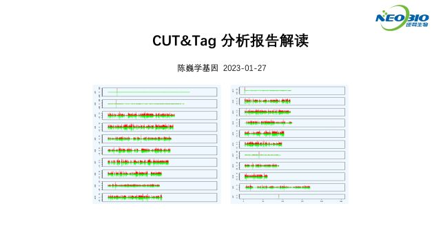 【陈巍学基因】CUT&Tag 分析报告解读