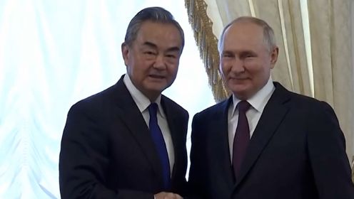 俄罗斯总统普京会见王毅