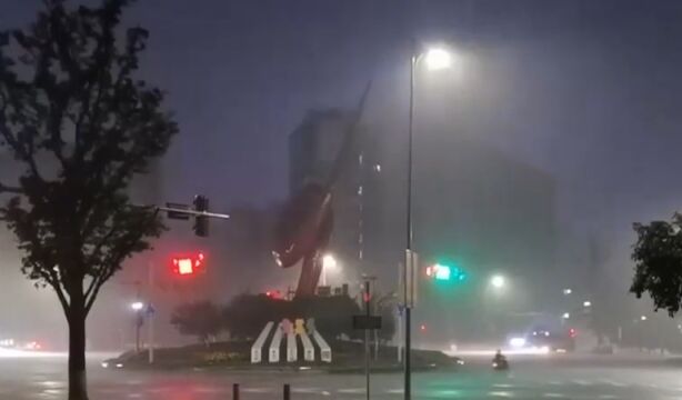 重庆渝北:暴雨致城区积水,当地连夜抢排保畅