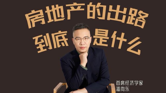 潘向东:为什么这么多利好,还是改变不了房地产?