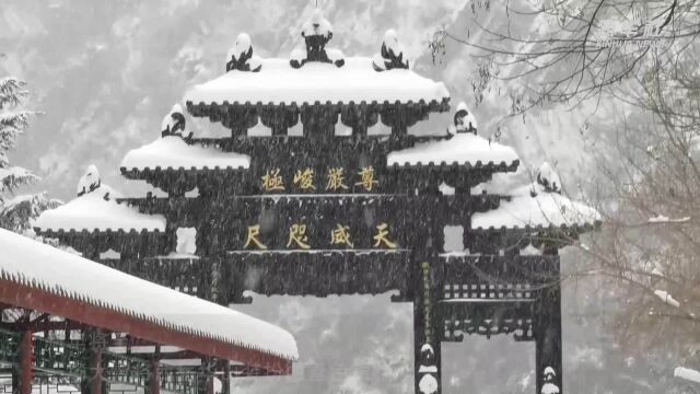 雪落华山美如画