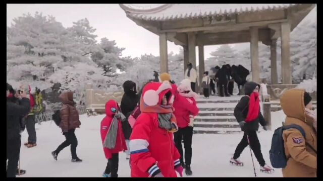 【网络中国节•春节】大年初三 黄山雪后初霁宛若仙境