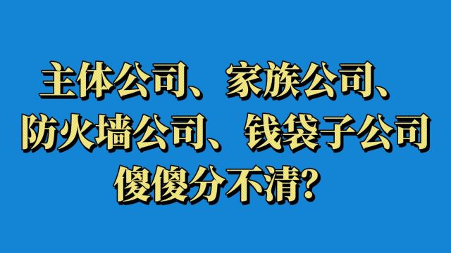 主体公司、家族公司、防火墙公司、钱袋子公司傻傻分不清?