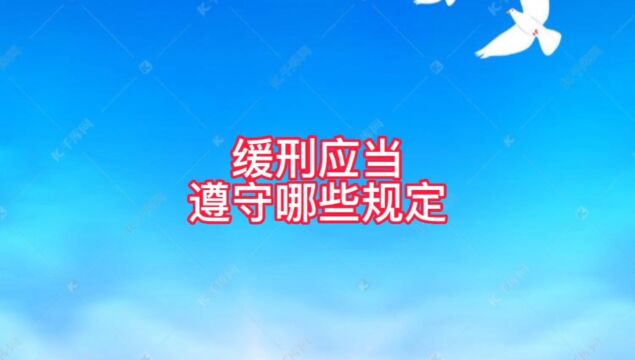 保定刑事辩护律师谈缓刑应当遵守哪些规定?