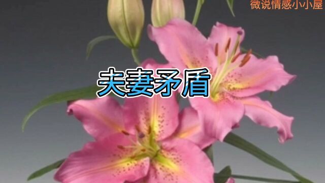 夫妻矛盾如何化解?