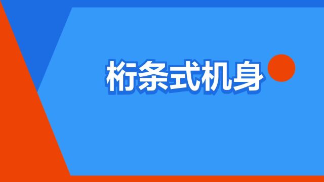 “桁条式机身”是什么意思?