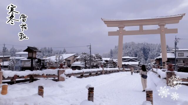 寒冬雪花飘