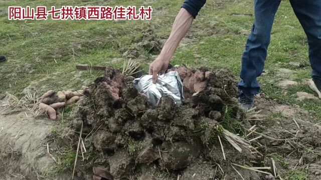 无人机航拍阳山县七拱镇西路云塘坑温泉及佳礼村,泡下温泉,烧个窑鸡,真的太爽了.#无人机航拍 #天然温泉 #特色农庄