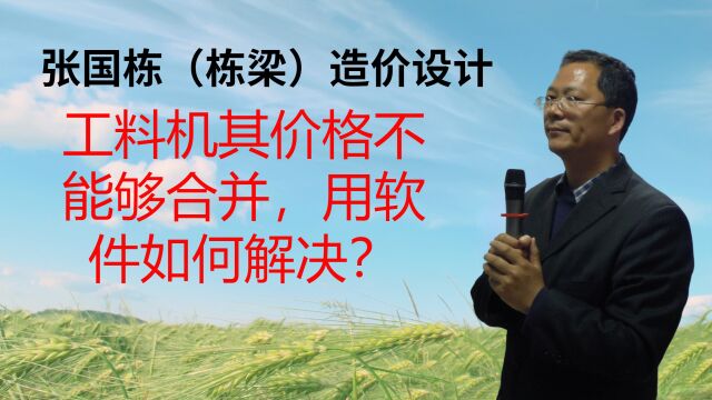 张国栋(栋梁)造价设计:工料机其价格不能够合并,用软件如何解决?