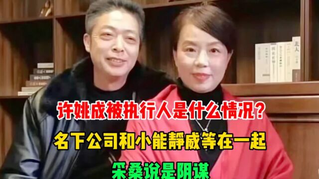 许姚成被执行人?名下公司和小能静威等在一起,采桑说是阴谋!