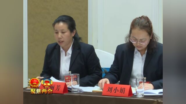 【聚焦两会】王振华、白涛、胡小英等县上领导参加镇(办)代表团分组审议