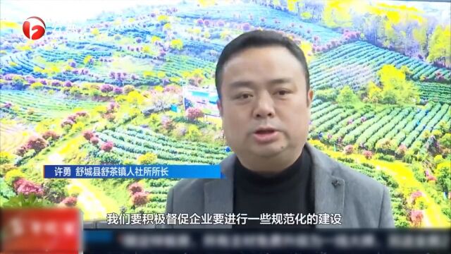 舒城:“鸿雁回归”搭平台,解决就业创业难题