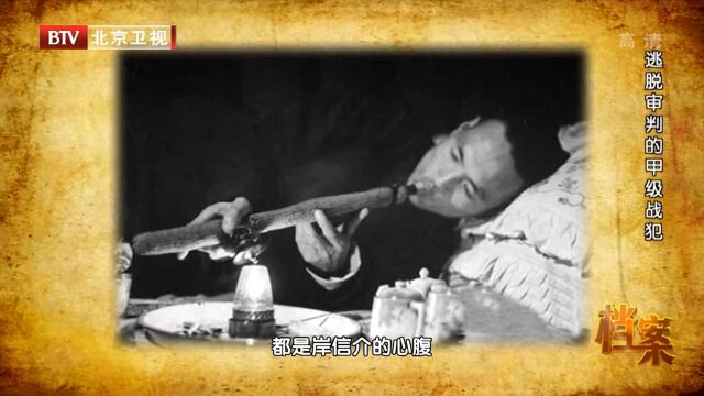 1936年岸信介来到东北,为了快速敛财,在热河种了八万亩罂粟