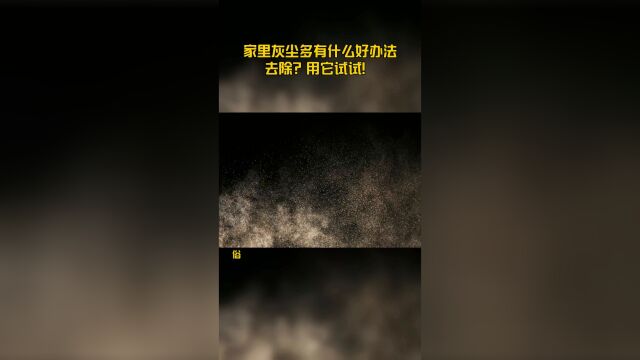 家里灰尘多有什么好办法去除?用它试试!