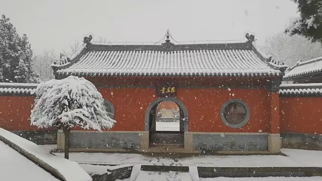 大雪中走进美丽的毗卢寺,她是位于河北石家庄的一座小寺庙,却因院内遗留的两座明朝建筑里的壁画而闻名遐迩