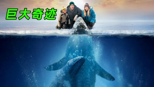冷战时期的奇迹，苏美两方共同拯救三头鲸鱼，纪实电影