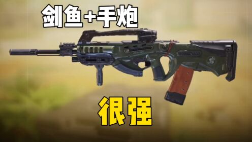 手炮搭配什么主武器都很强#使命召唤手游_高清1080P在线观看平台_腾讯视频