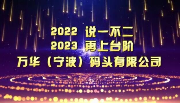 2022码头纪录片