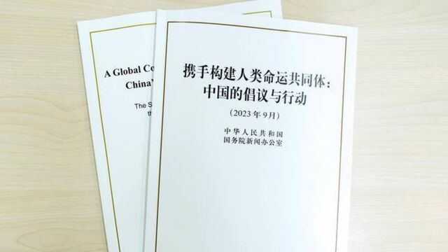 白皮书展现“中国方案”中蕴藏的哪些独特的中国智慧、中国文化?