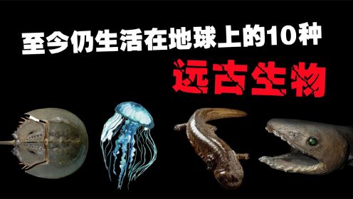 至今仍生活在地球上的10种远古生物，你以为恐龙真的都灭绝了吗？