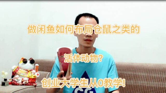 做闲鱼如何布局仓鼠之类的活体动物?创业大学生从0教学!