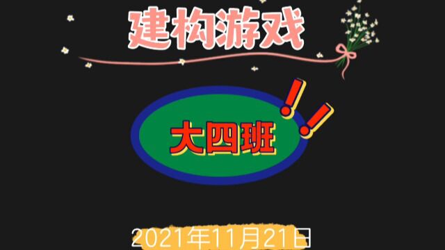 2021.1112大班建构游戏《野生动物园》