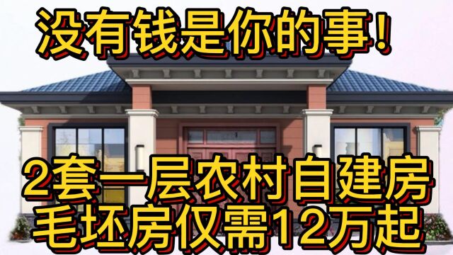 没有钱是你的事!2套一层农村自建房,毛坯房仅需12万起