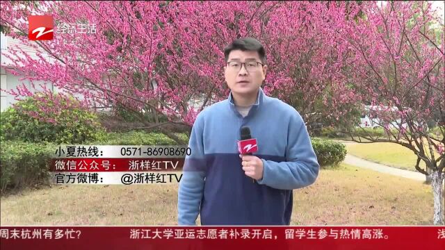 小夏热线 杭州:小区二次供水改造 半个月挖断两次水管