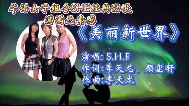 怀旧经典金曲《美丽新世界》SHE深情合唱,歌词优美悦耳,动感节奏响起仿佛回到了那个时代!