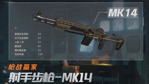 【暗区突围】版本加强的射手步枪-MK14
