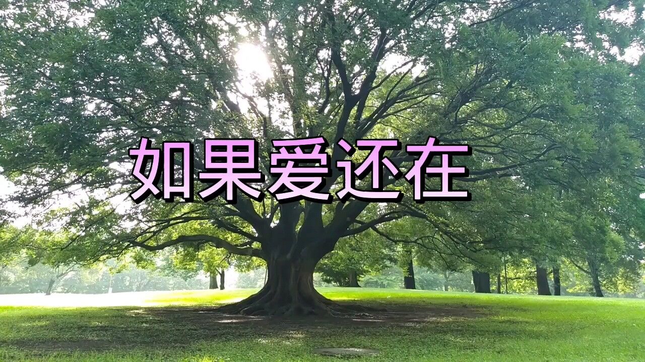 流行歌曲《如果爱还在》